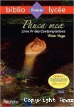 Pauca Meae