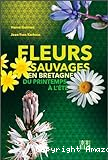 Fleurs sauvages en Bretagne : du printemps à l'été