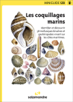 Les coquillages marins