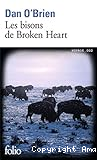 Les bisons de Broken Heart